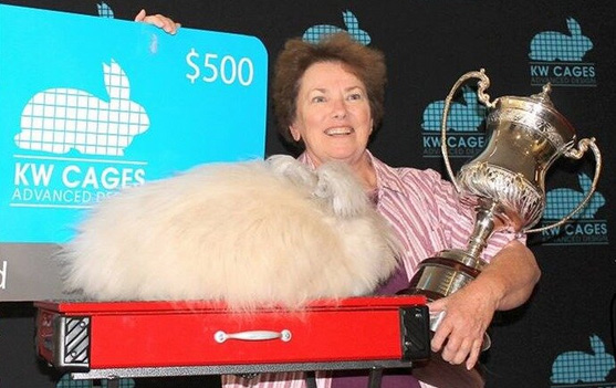 Linda Cassella Memorial Youth Scholarship