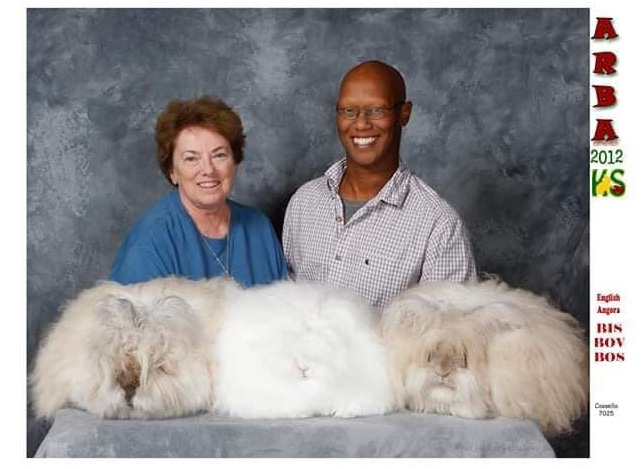 Linda Cassella Memorial Youth Scholarship