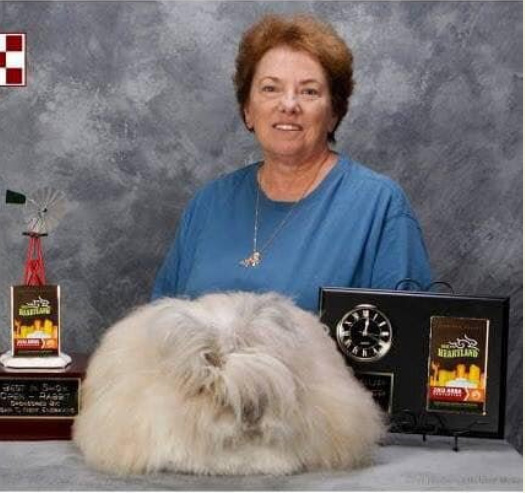 Linda Cassella Memorial Youth Scholarship