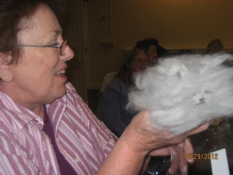 Linda Cassella Memorial Youth Scholarship