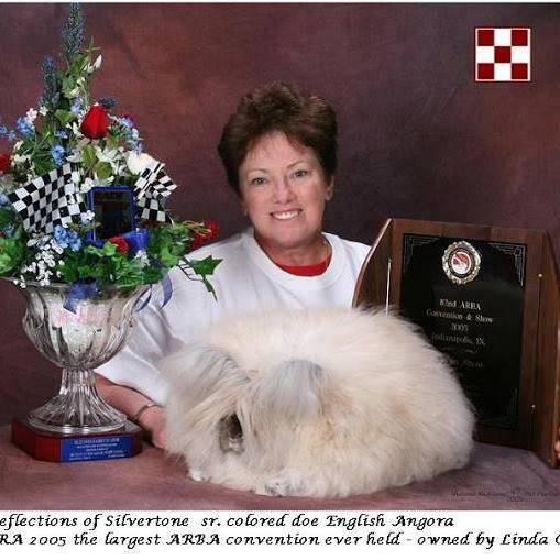 Linda Cassella Memorial Youth Scholarship