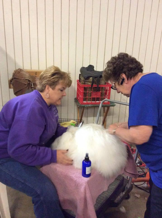 Linda Cassella Memorial Youth Scholarship