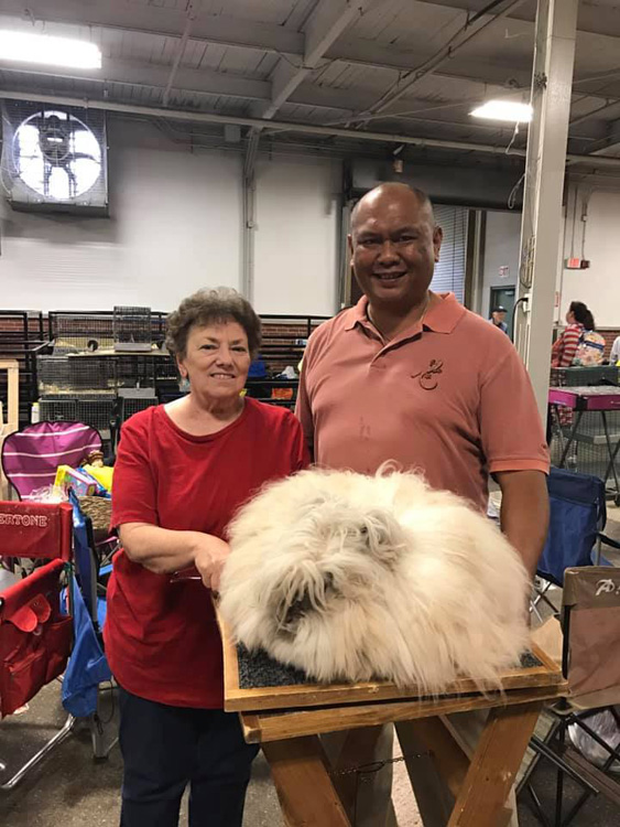 Linda Cassella Memorial Youth Scholarship