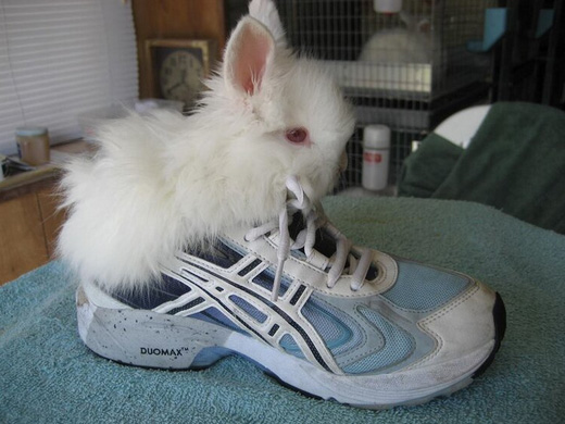 Linda Cassella Memorial Youth Scholarship